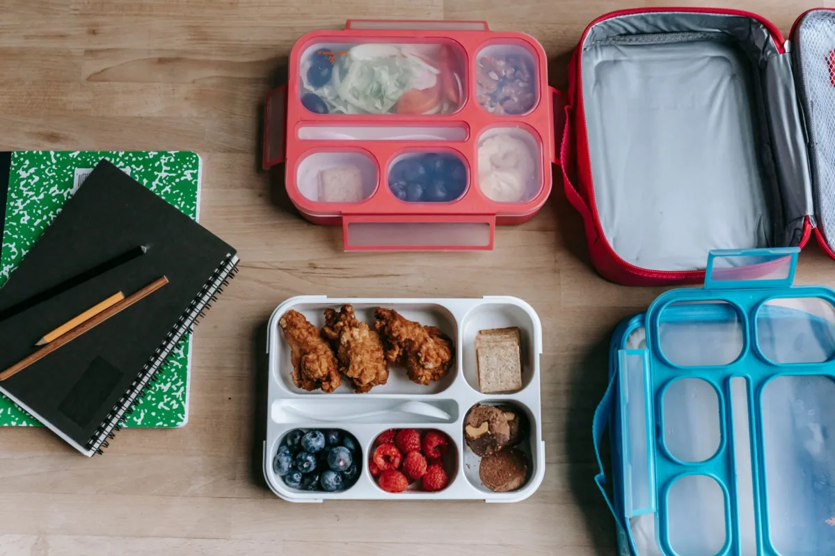 Balanced school lunch with fruit, yogurt, vegetables and crackers
